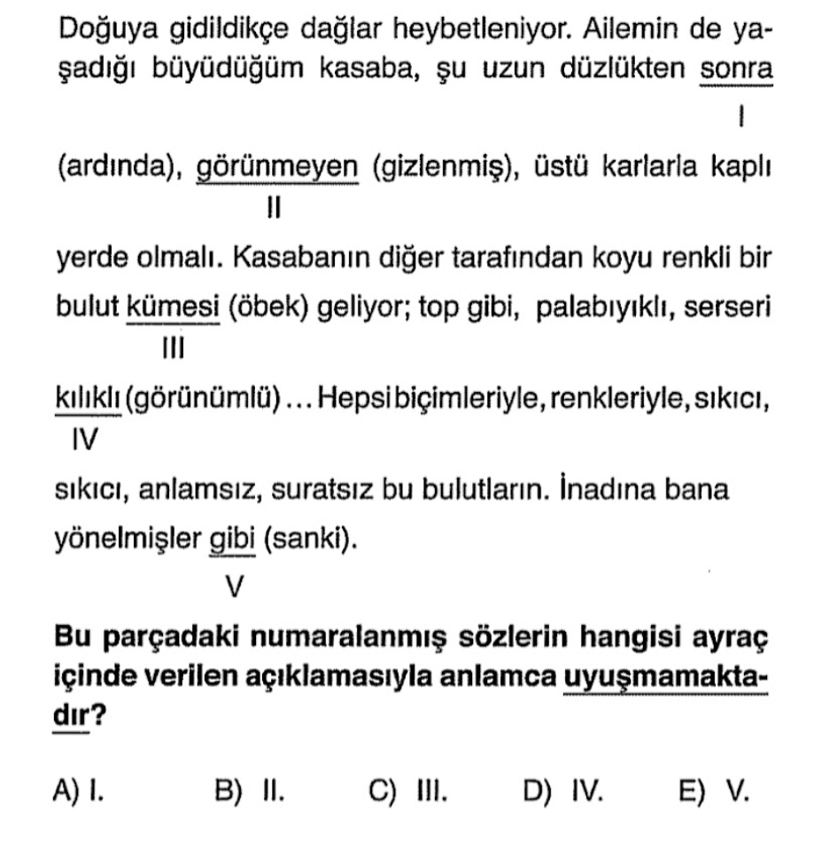 Soru Görseli